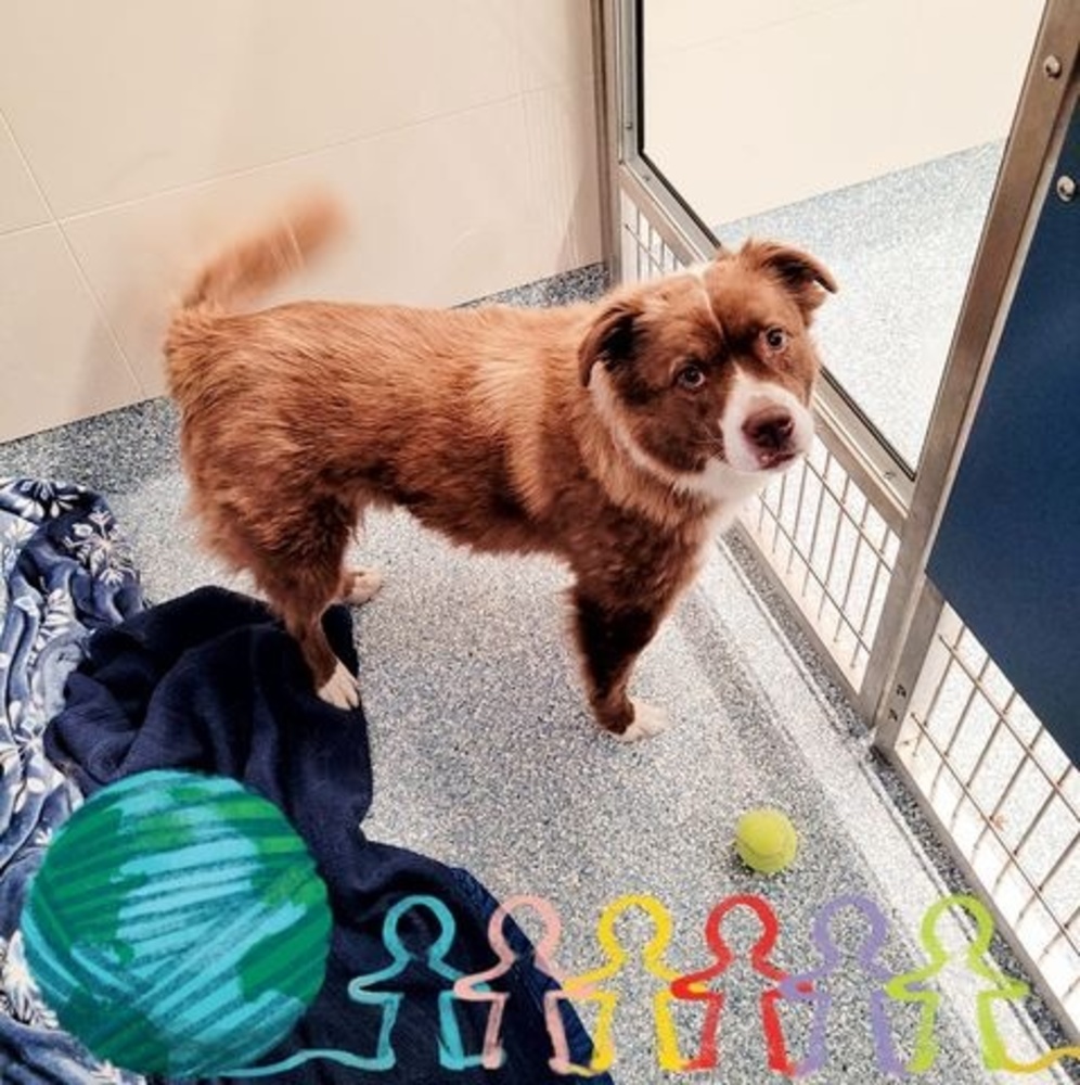 Meet your Posher, Jodi